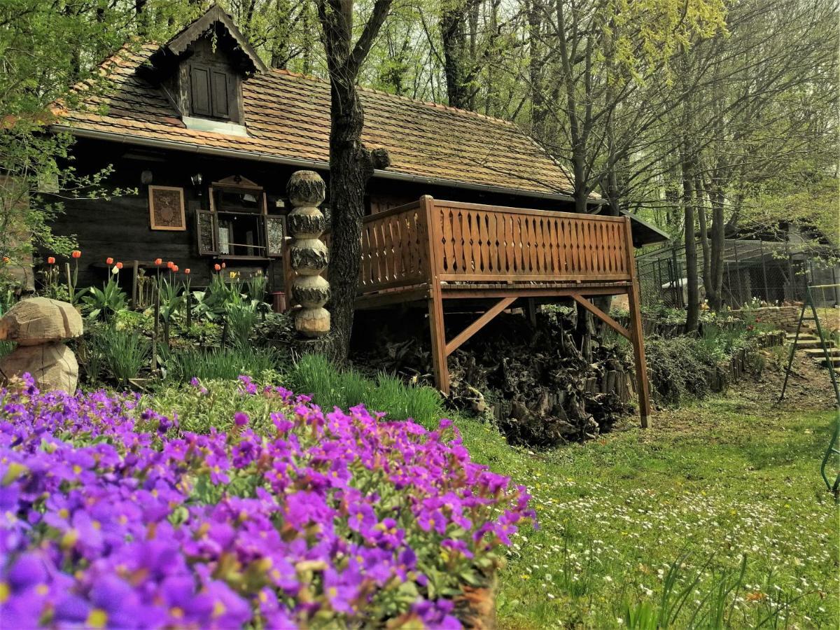 Country House With A Pool In Medvednica Nature Park Zagreb Buitenkant foto
